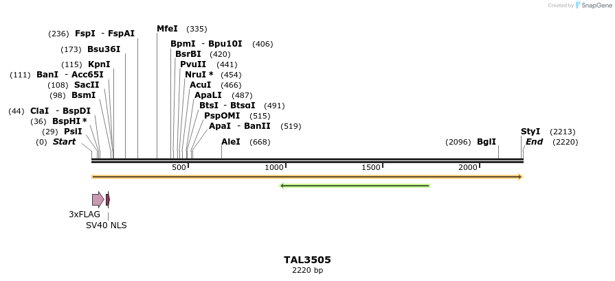 67311_map