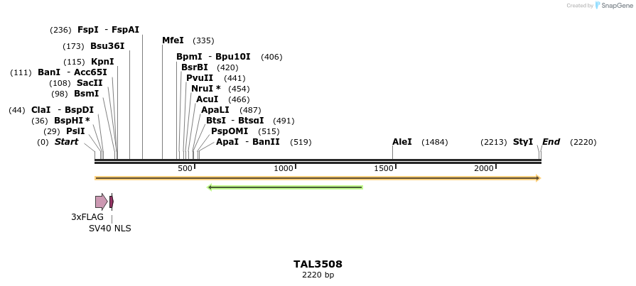 67314_map