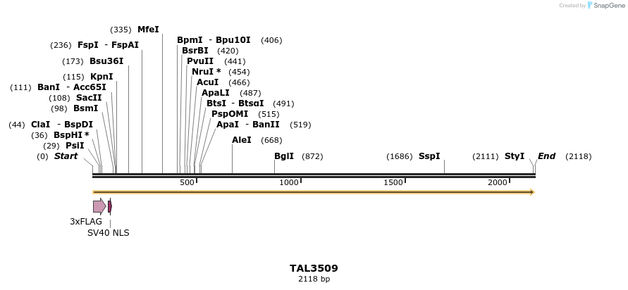 67315_map
