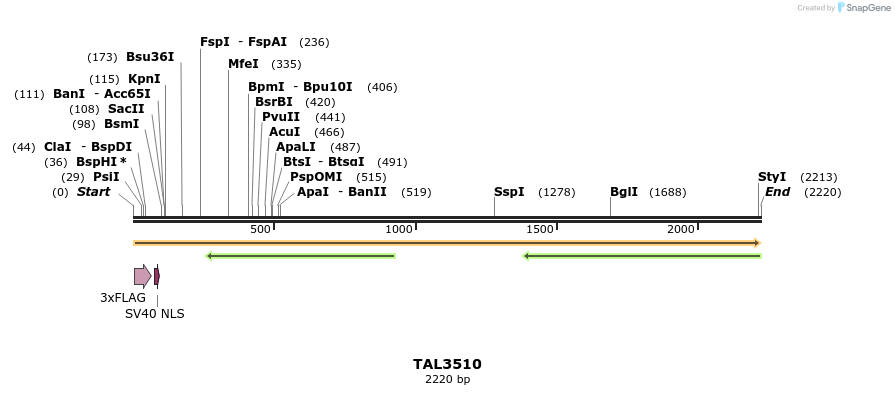 67316_map
