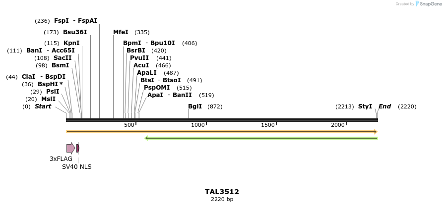 67318_map