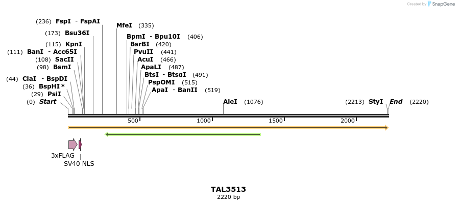 67319_map