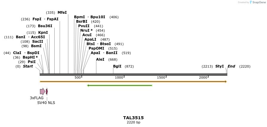 67321_map
