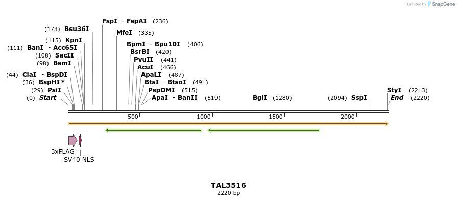 67322_map
