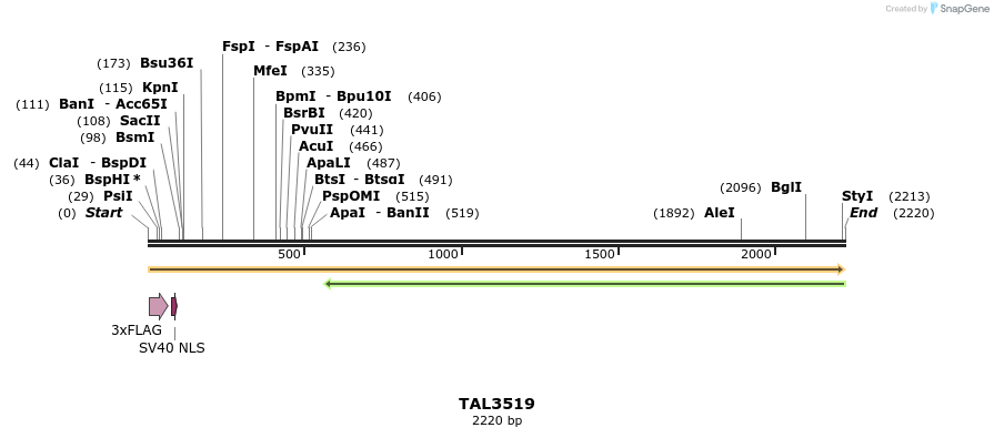 67325_map