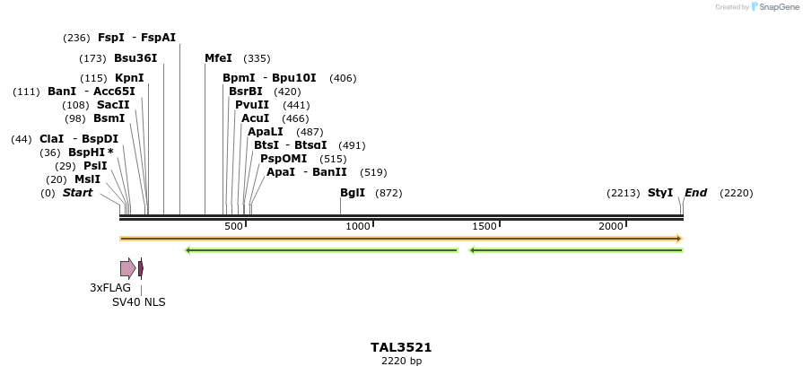 67327_map