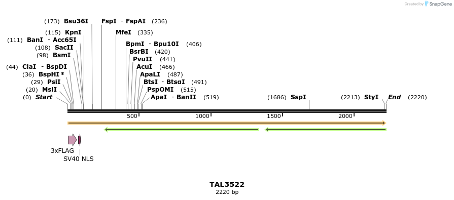67328_map