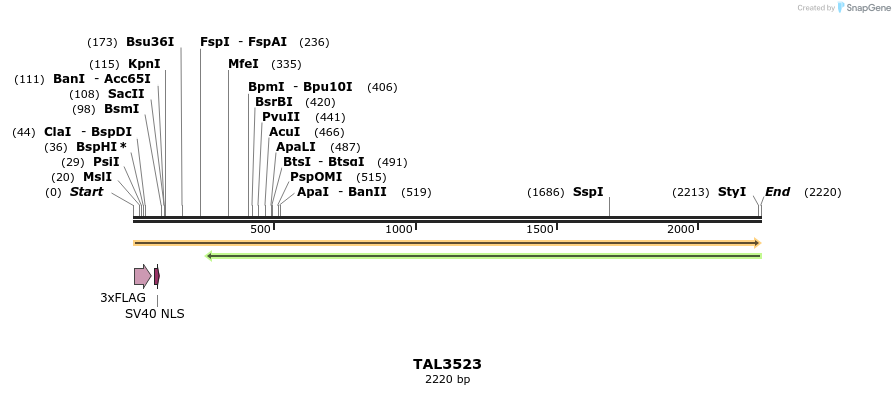 67329_map