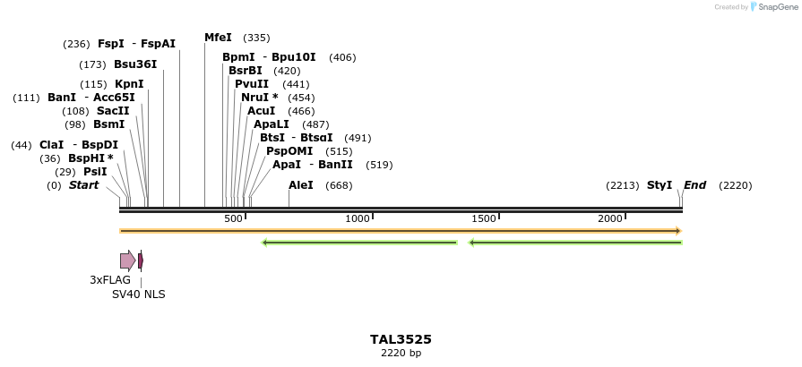 67331_map
