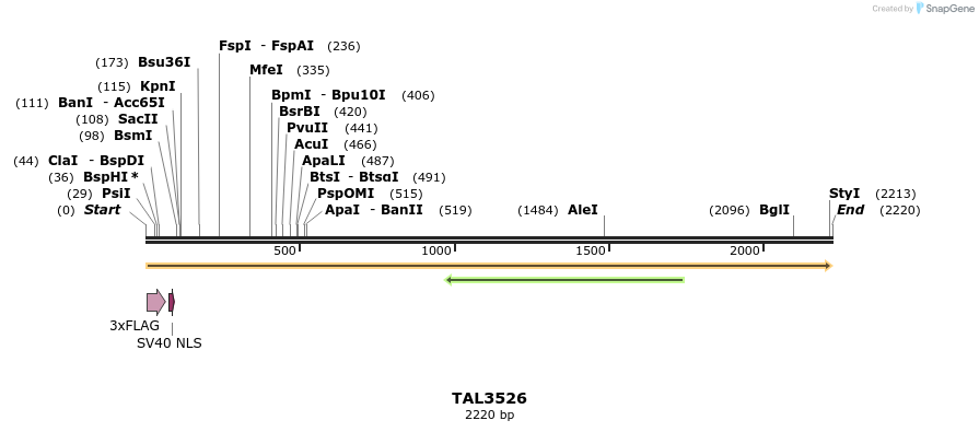 67332_map