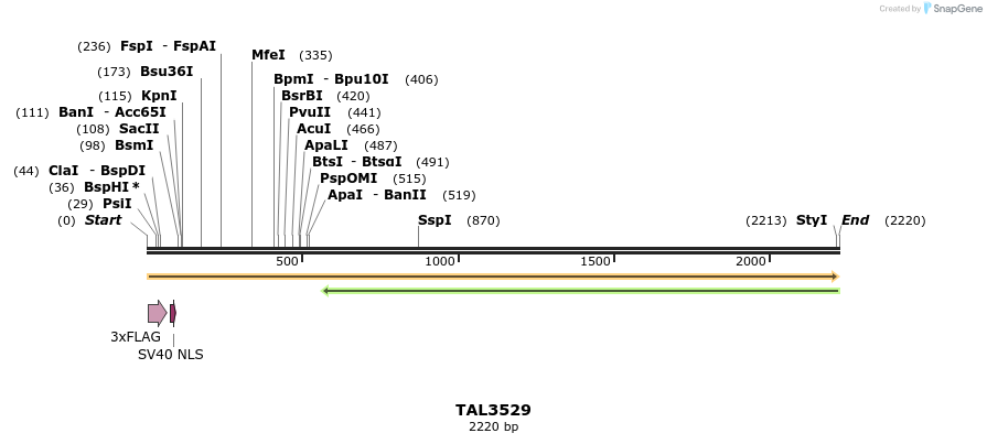 67335_map