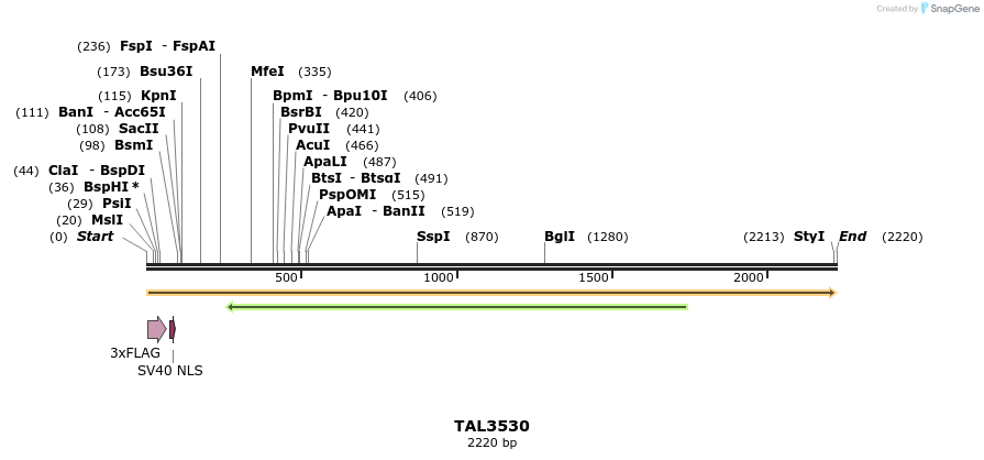 67336_map
