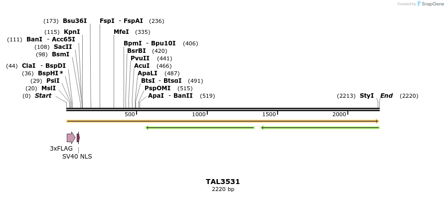 67337_map