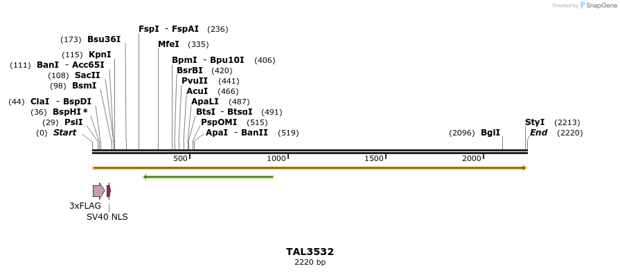 67338_map