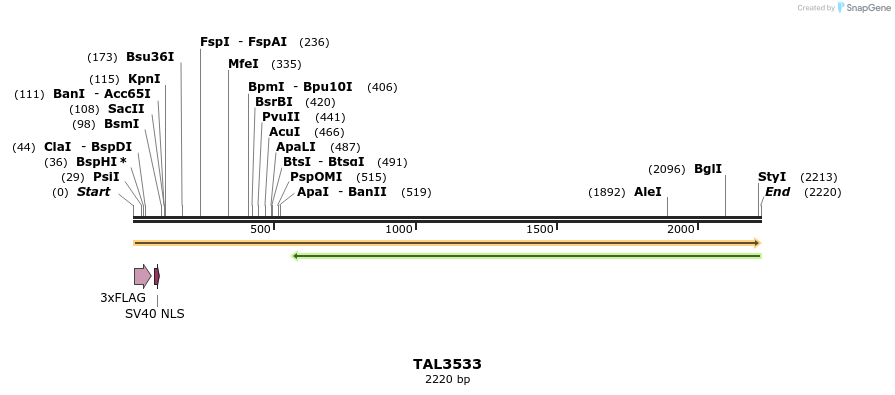 67339_map