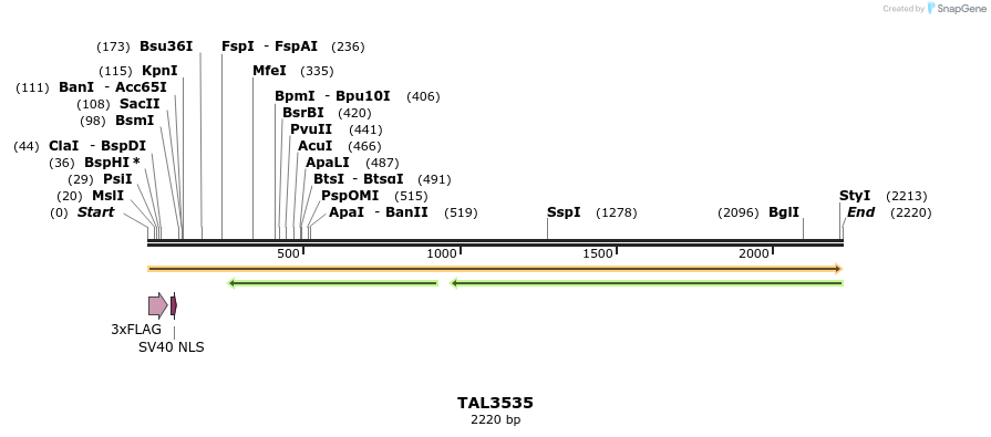 67341_map
