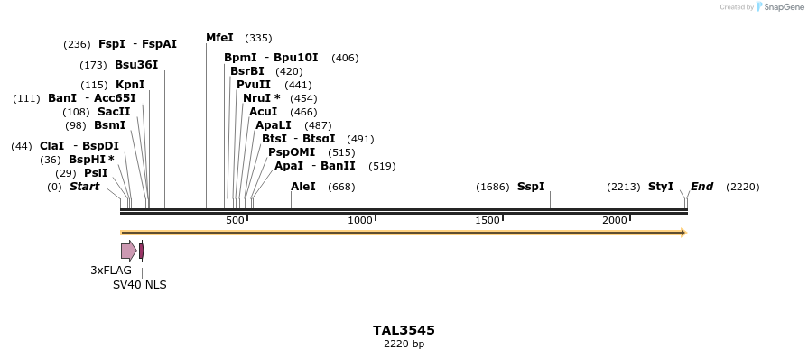 67351_map