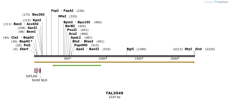 67355_map
