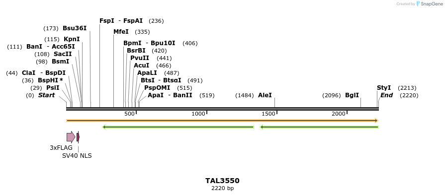 67356_map
