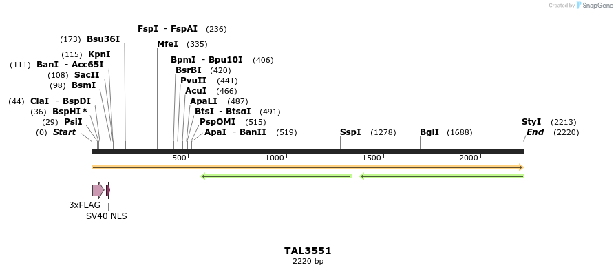 67357_map