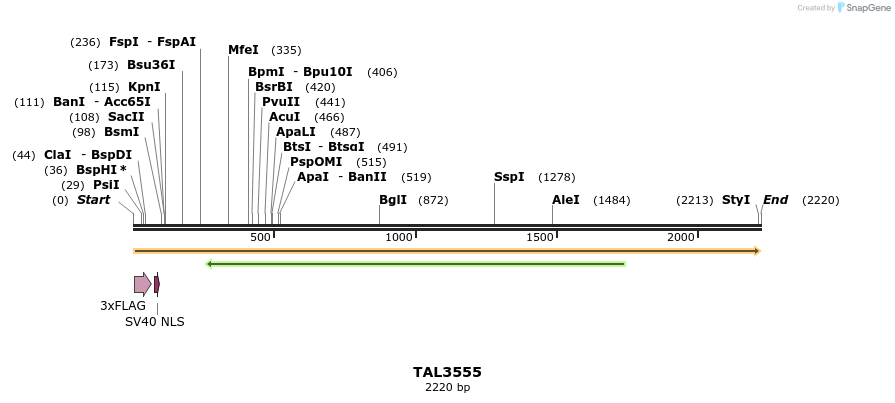 67361_map