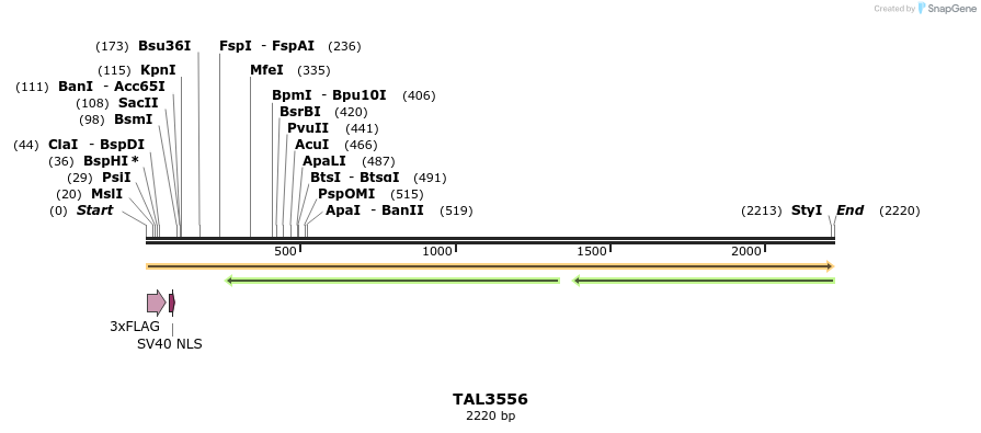 67362_map