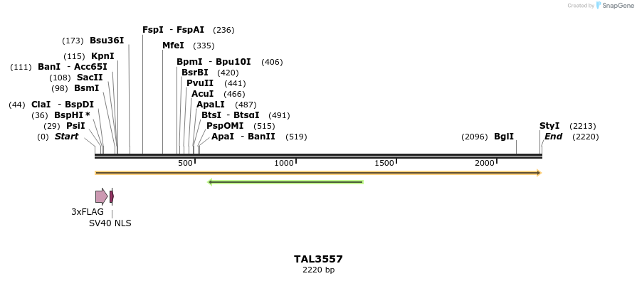 67363_map