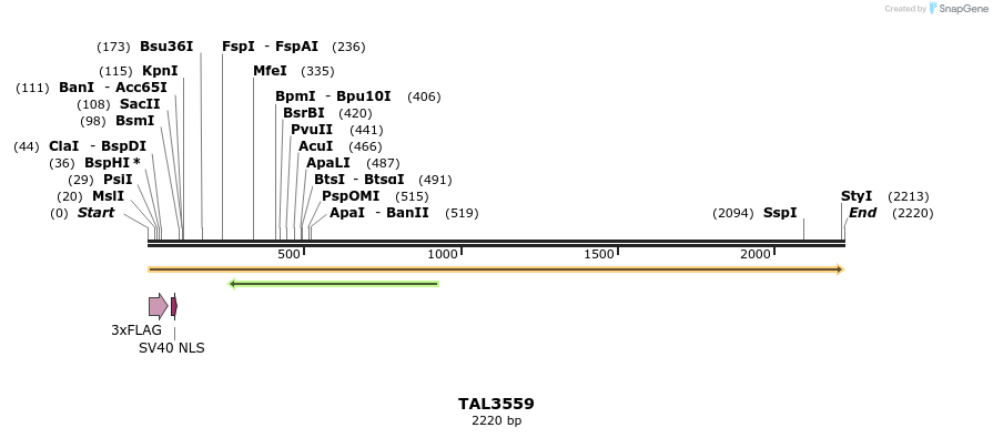 67365_map