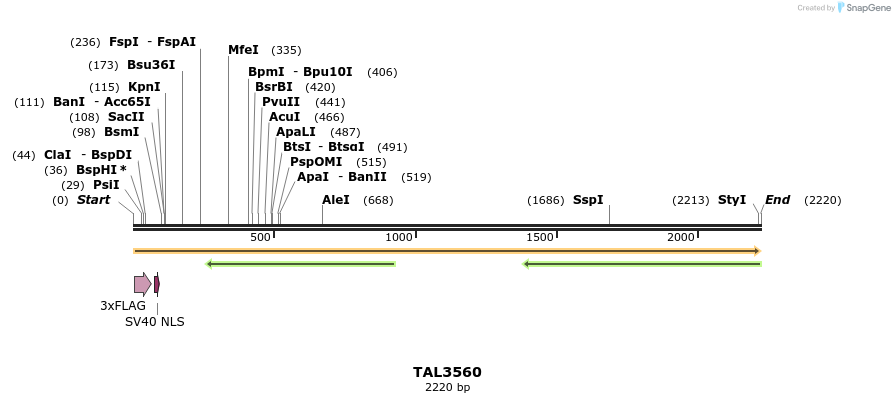 67366_map