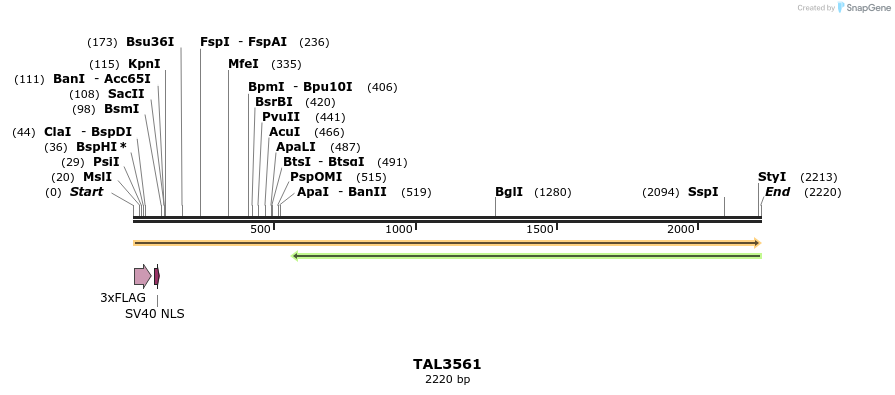 67367_map