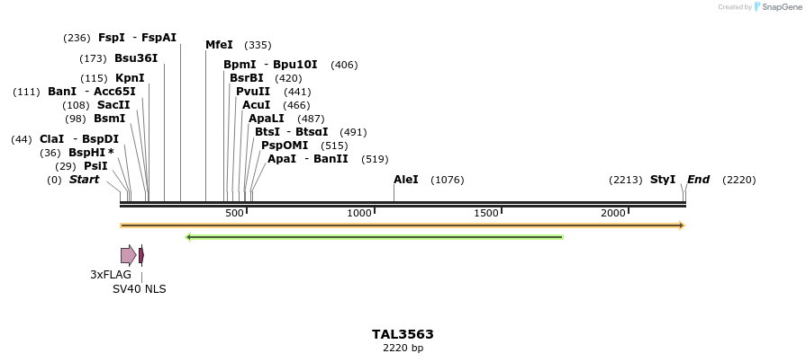 67369_map