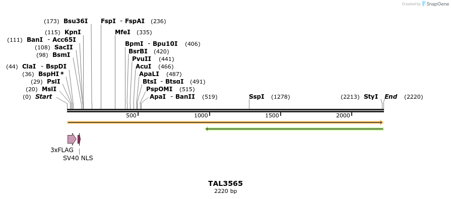 67371_map