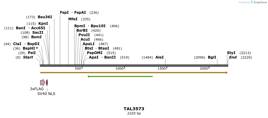 67379_map