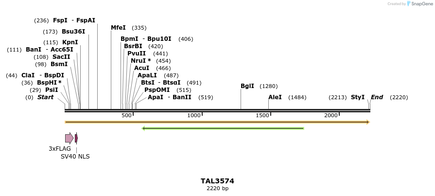 67380_map