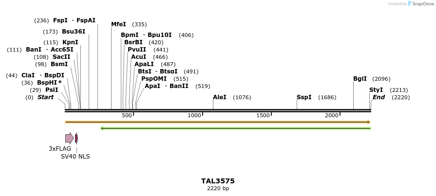 67381_map