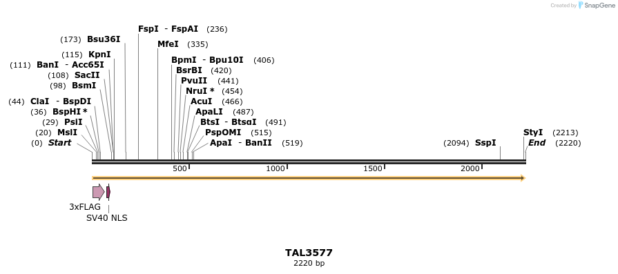 67383_map