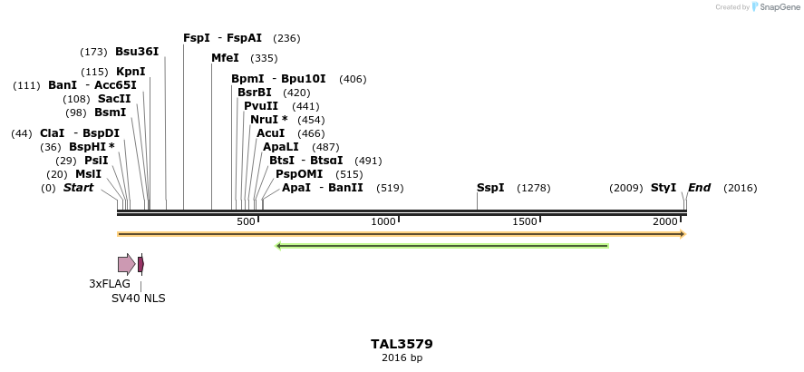 67385_map