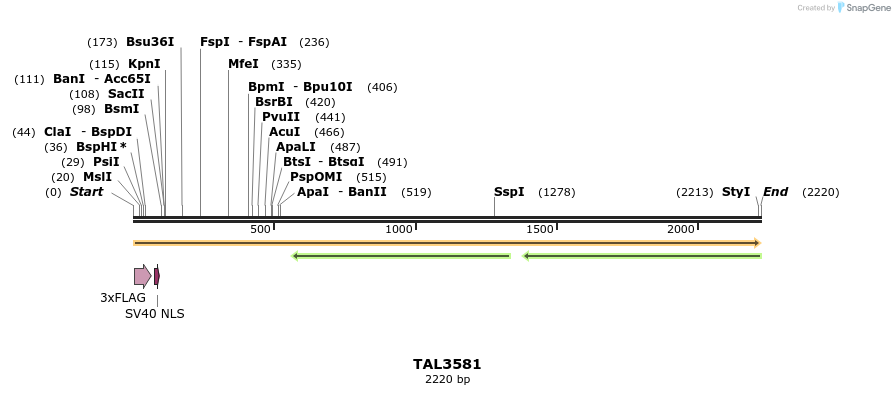67387_map