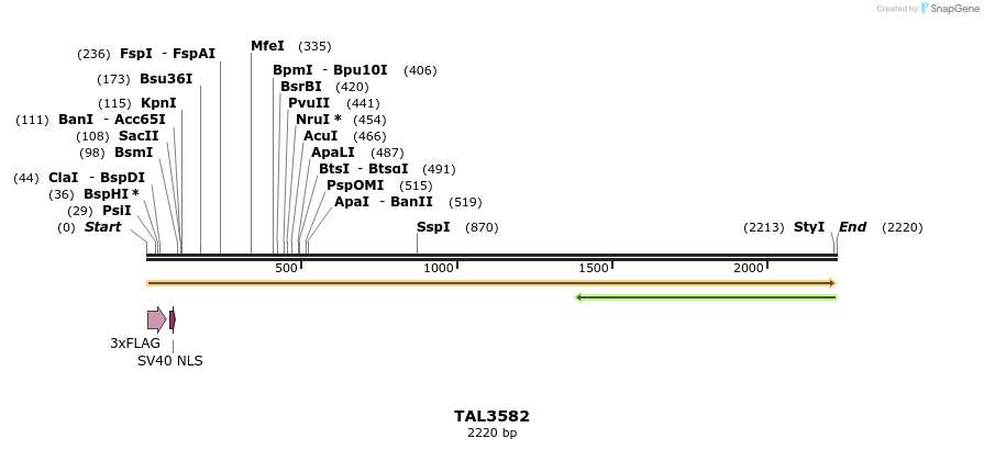 67388_map