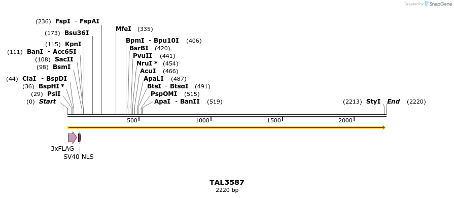 67393_map