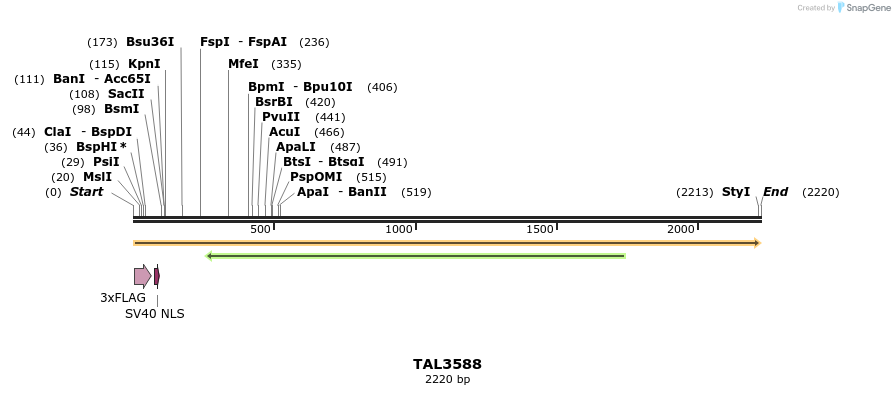 67394_map