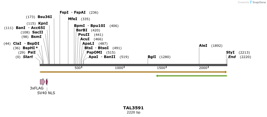 67397_map