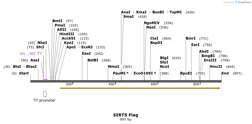 67398_map