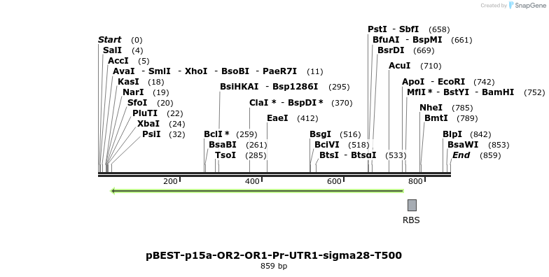 67401_map