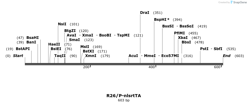 67403_map