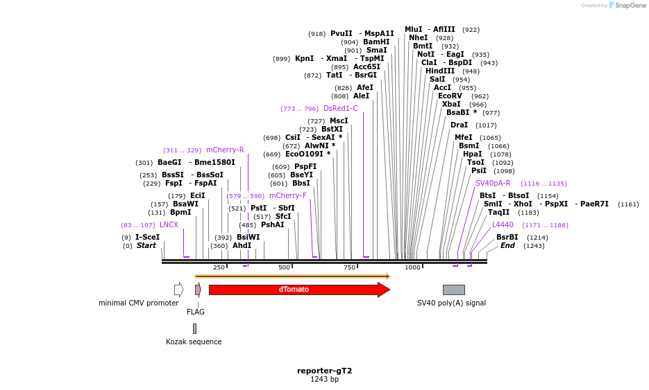 67405_map