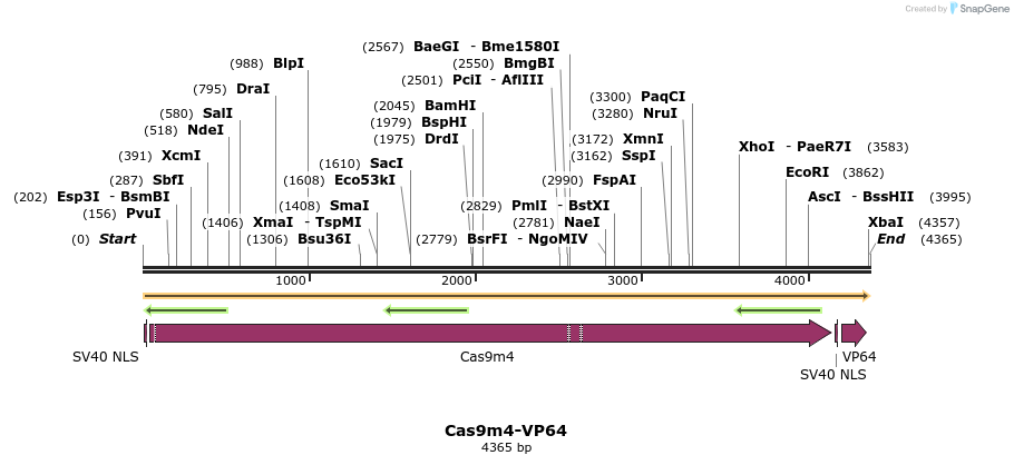 67406_map