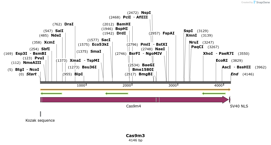 67415_map