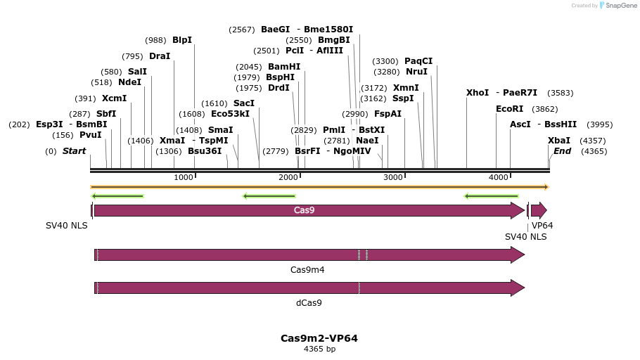 67416_map