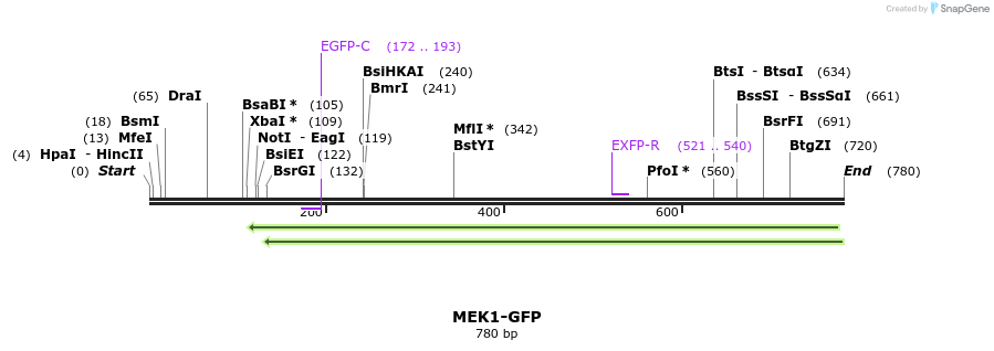 67422_map
